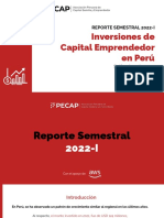 (PECAP) Reporte de VC Perú 2022-I