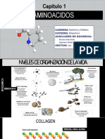 Cap 1 - Aminoacidos - Auxi Bioquimica 2023 - 2,1