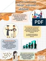 Infografía FSC1