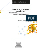 Los Derechos Sociales en Mexico - Cruz Parcero (Coord)