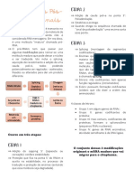 Processos Pos Transcricionais