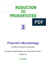 TO Prokaryotes