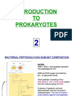 TO Prokaryotes