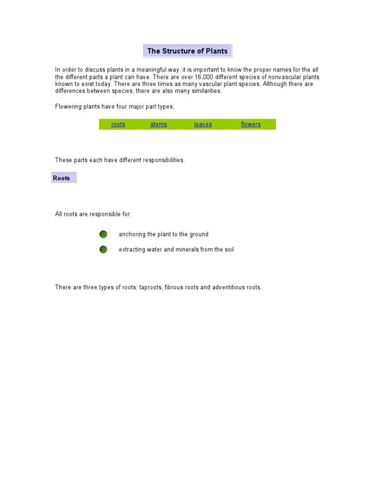 Understanding Plant Structure and Parts | PDF | Root | Plant Stem
