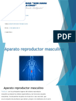 Anatomia Y Fisiologia: Fernando Javier Lopez Molina Maria Teresa Ruiz Ruiz Aparato Repoductor Masculino 25 de Marzo de 23