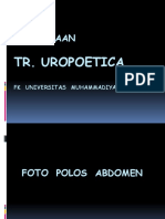 Pencitraan: Tr. Uropoetica