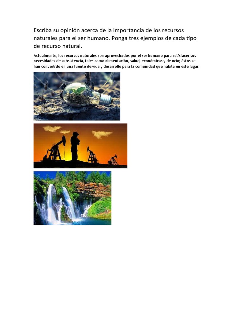 Importancia de los Recursos Naturales | PDF | Ciencias sociales