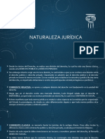 Naturaleza Jurídica