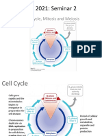Fall 2021: Seminar 2: Cell Cycle, Mitosis and Meiosis