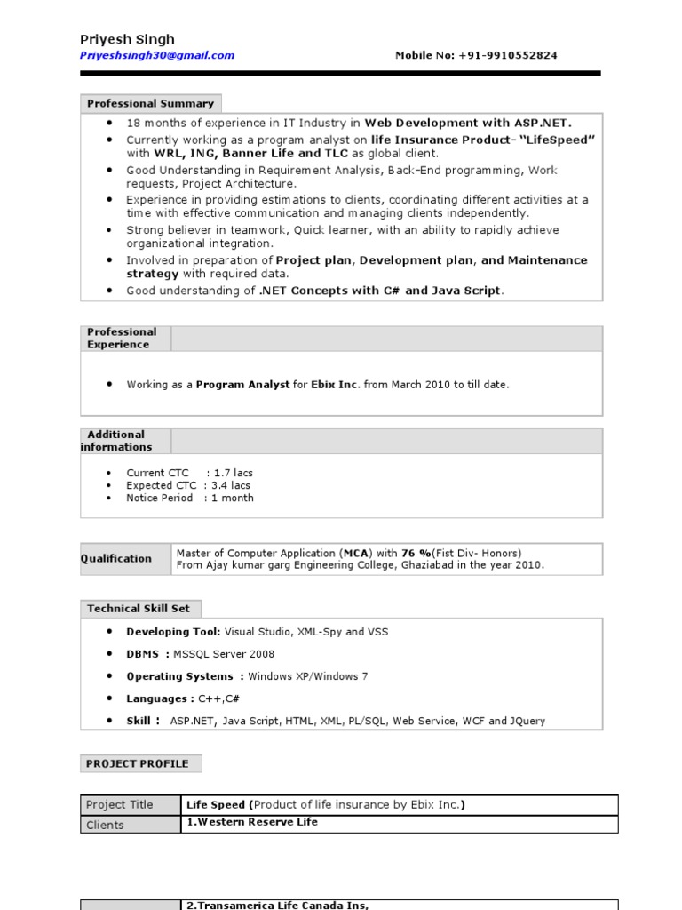 IT Professional Resume | PDF | Java Script | Microsoft Sql Server