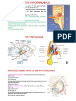 Hypothalamus and Limbic System