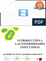 Interacciones Huésped - Microbio Modelo