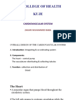 Ila College of Health Kuje: Cardiovascular System