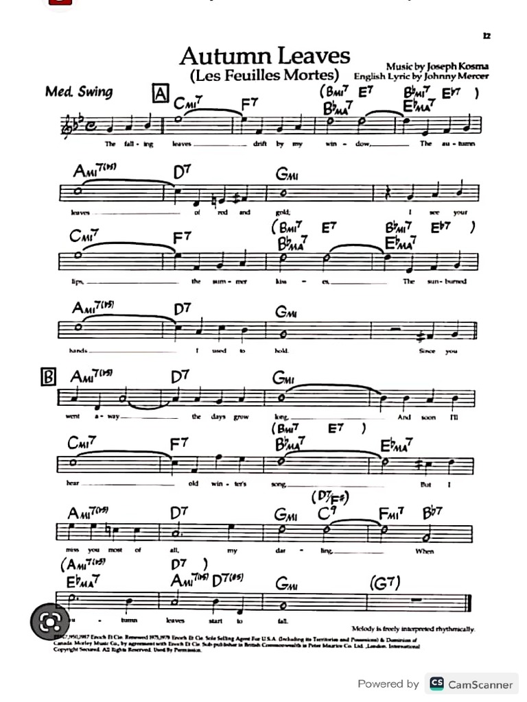 Auttum Leaves PDF