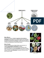 Taxonomía Apuntes