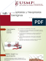Neoplasias y Neoplasias Benignas: Ms. C.D. Belú Castillo Cornock Tcastilloc@usmp - Pe