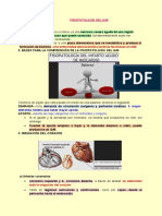 Cualquiera de Las Arterias Coronarias: Una Enfermedad Aterosclerótica Termina Fácilmente en IAM