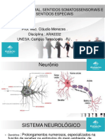 Fisiologia Neural, Sentidos Somatossensoriais E Sentidos Especiais