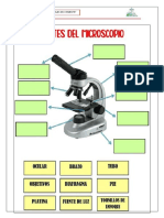 1.1 Ficha Pràctca