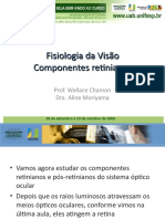 Fisiologia Da Visão Componentes Retinianos