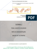 Tutorial Automassagem para Lactantes