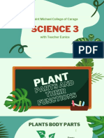 Grade 3 Plants Parts and Their Functions