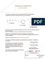 Intégrations Du Métabolisme