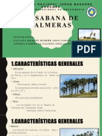 La Sabana de Palmeras - I Seminario