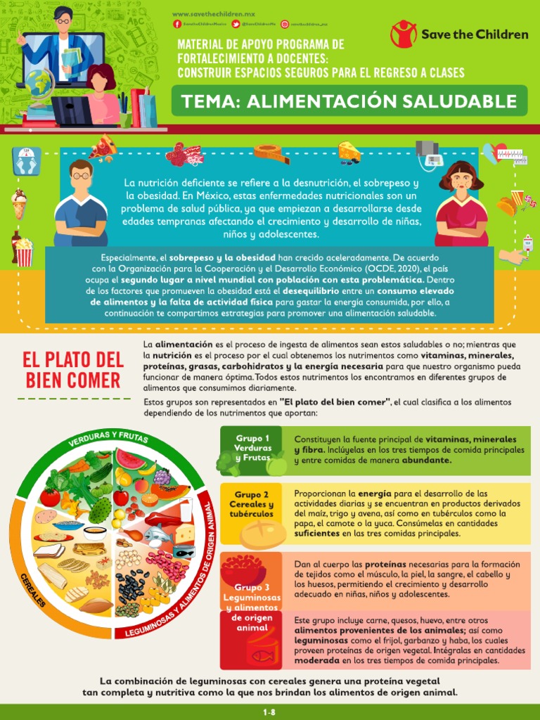 Infografía Alimentación Saludable Pdf