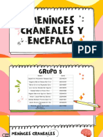 Meninges Craneales Y Encefalo