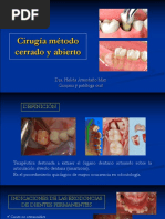 Clasificación de Defectos del Reborde Seibert | PDF