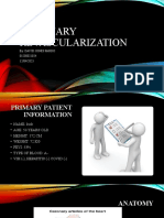 Coronary Revascularization: By: David Jones Pardo 01200021024 12/04/2023