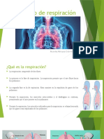 Proceso de Respiración