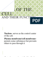 Parts of The Cell: and Their Function