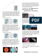 Cell Types Plants