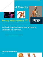 Bones and Muscles: Are They Really Important ???