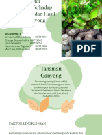 Pengaruh Faktor Lingkungan pada Ganyong