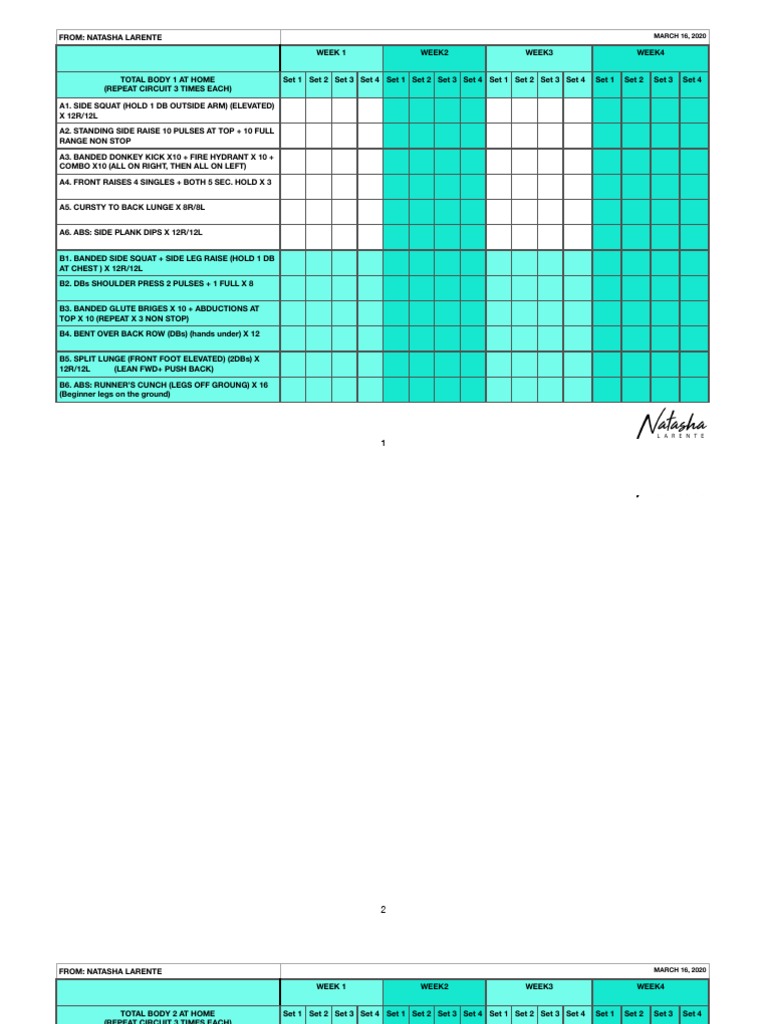 Total Body Home Workout Plan | PDF