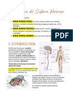 Sistema Nervioso Anatomía