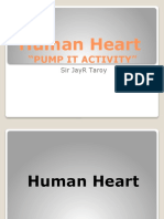 Human Heart Part 2
