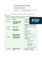 Endocrine System