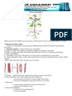 General Biology 2