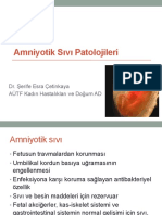 24-Amniyotik Sıvı Patolojileri