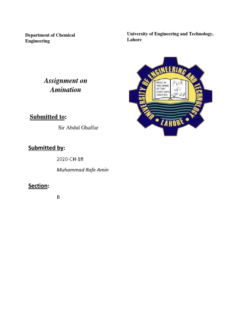 Overview of Amination Processes | PDF | Chemical Reactions | Amine