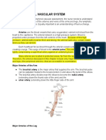 The Peripheral Vascular System Summary Script