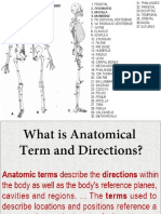 Bones and Movements of the Human Body