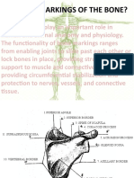 What Is Markings of The Bone?