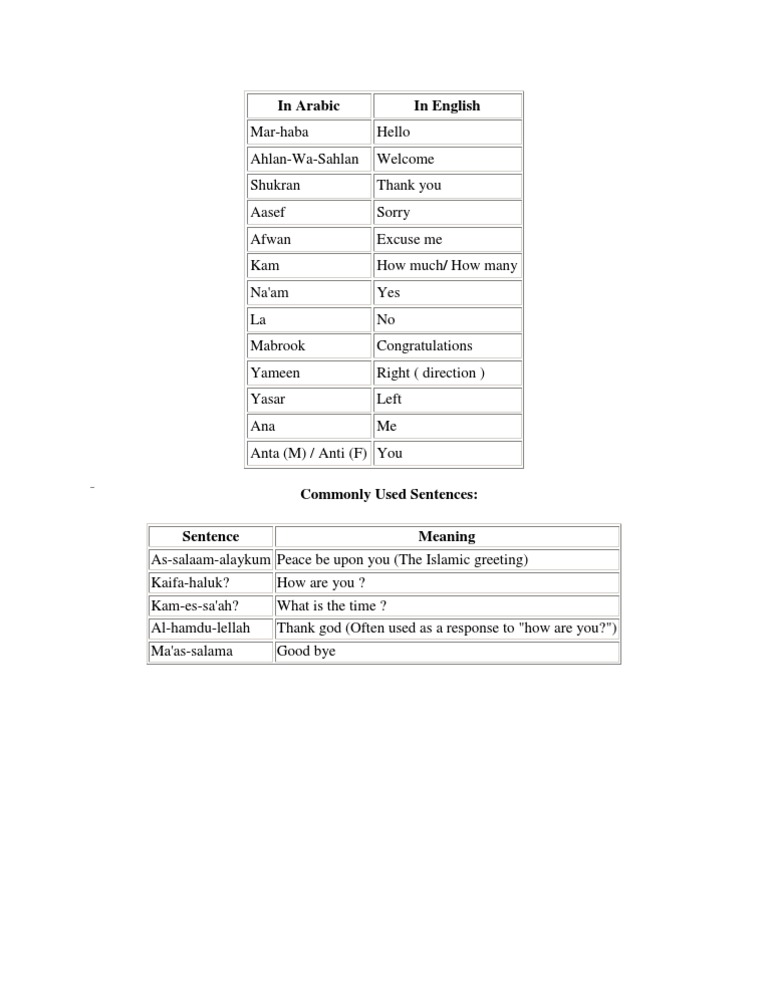 ARABIC LEARNING COURSE FREE PDF visual data 6