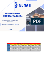 Proyecto Final-Informatica-Basica.