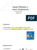 El Cuerpo Humano y Términos Anatómicos: Dra. Bárbara Vásquez Médico GO